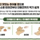 세종종합동물병원 이미지