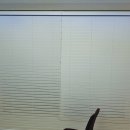 일산굿모닝약국 이미지