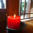 봉주르독 이미지