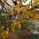 성립농장 이미지