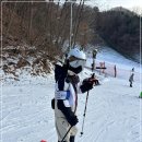 비발디 | 홍천 비발디파크 경험했던 후기