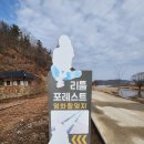 리틀포레스트 촬영지 | 군위 아이랑 가볼만한곳 리틀포레스트 촬영지