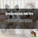 예삐네 착한 수제간식 이미지