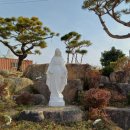 봉동짬뽕 이미지