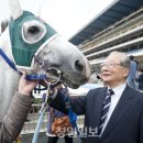 무한질주 이미지