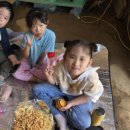 충호농장 이미지