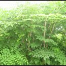 고암농장 이미지