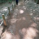 정발산공원 산책로 입구 이미지