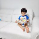 3인용 쇼파 갤럭시 원단 일마레하우스 소파 후기