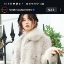 바자르시크 Daum카페