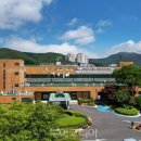 (주)선진항공여행사 이미지