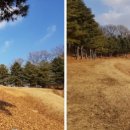 염하강철책길 이미지