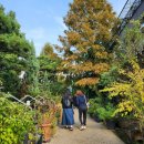 박주환농장 | 2초 hi_과천에서 알차게 보낸 생일 파티 : 쌈밥 맛집 쌈이맛, 대형 온실 카페 마이알레(Myallee), 서울...