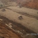 황산초지사계절바다낚시터 이미지