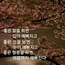 생각대로 Daum카페