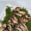 제이엠3주유소 이미지