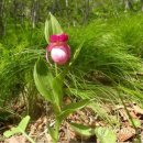 정안면사무소4 이미지