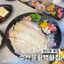 수산물백화점 | 광주 양산동횟집 '수산물회백화점' 광어회 후기