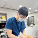 폴짝그루밍 | 노원고양이병원, 점프를 망설인다면 관절염일까요?