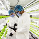 김동현농장 이미지