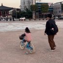 시민자전거대여소(화성행궁) | 수원 화성행궁 아기랑 가기 좋은 이유(+연날리기,풍선연,근처 맛집 진미통닭, 콩국까지)