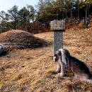 엄씨농장 이미지