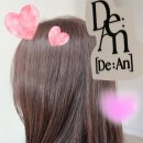 댕댕이 머리하는 날 | [성수 미용실] 드안헤어 성수점에서 예쁘게 염색하고 온 후기! ✨