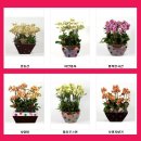 남구미요양병원장례식장 이미지