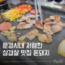 문경돈돼지