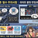 불빛