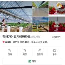 부산 근교 김해가야딸기테마파크에서 아이랑 딸기 따기 체험 후기