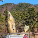 겨울 별미 거제 대구탕 vs 통영 고등어회·조림 이미지