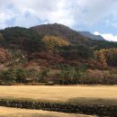 새재왕건식당 이미지