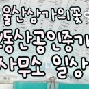 신수연공인중개사사무소 이미지