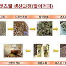 켓츠웰