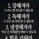 용인JG복싱PT 이미지