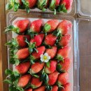 해늘농장 이미지