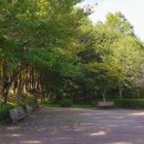 피앤에이치 메디케어 | 비오틴젤리 프랭크 프루티스 챙겨 손톱케어해보기