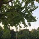 국회대로주유소 이미지