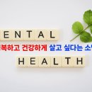 포라이프