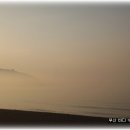 5월 11일 해무가 자욱한 해운대 바다 수영 이미지