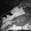 지천생태공원 이미지