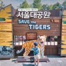 사기막골1공영주차장 | 과천 서울대공원 동물원 총정리! 주차장 리프트 코끼리열차 패키지