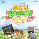 예산-53 이미지