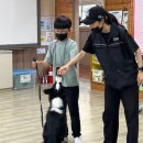 김녕초등학교 이미지