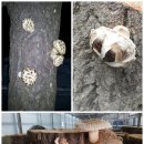 박국환농장 이미지