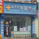 푸른종합동물병원 이미지