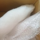 손광락한의원 이미지