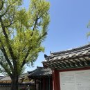 GS25경주첨성대점 이미지