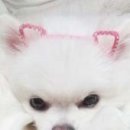 하트하우스 이미지